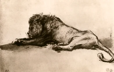 Study of a Lion, 1913