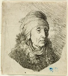 Woman with a High Headdress Wrapped Around the Chin: Bust
