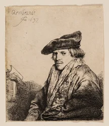 Young Man in a Velvet Cap (Petrus Sylvius?)
