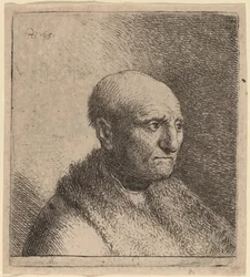 Bald Man in a Fur Cloak