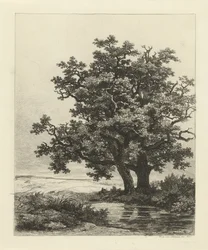 Two Oaks by a Pond
