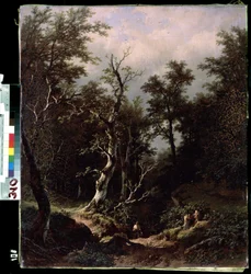 Forest landscape