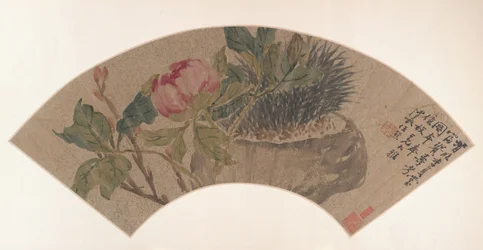 Peony