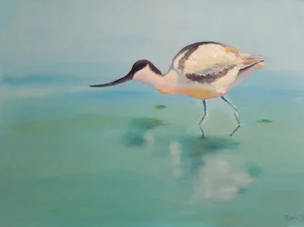 Avocet