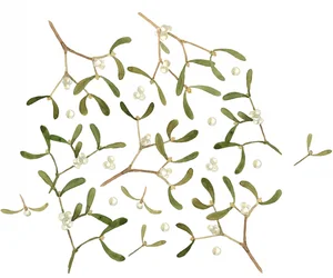 Festive Mistletoe Berries