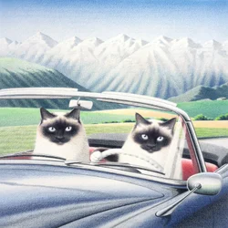 Driving around