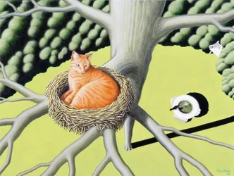 Nest