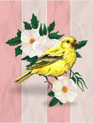 Yellow Bird Wild Roses