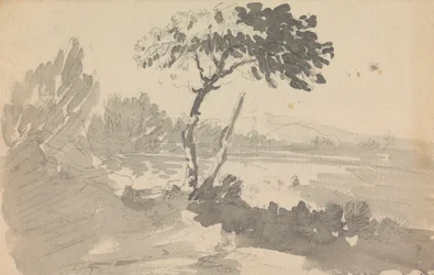 Tree and Lake