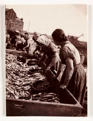 Fishing, Fisherfolk Women Sorting Fish, Whitby Harbour, North Yorkshire