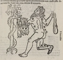 The Constellation of Hercules