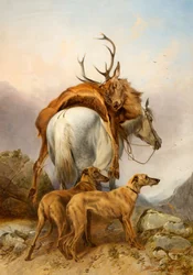 A Pony Carrying a Dead Deer