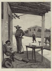Maruja