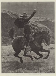 Maruja, by Bret Harte