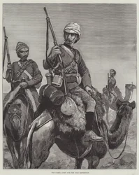 The Camel Corps for the Nile Expedition