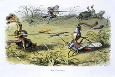 Elf Knights Jousting