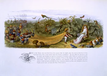 Illustrations from 