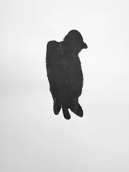 Untitled, 2009