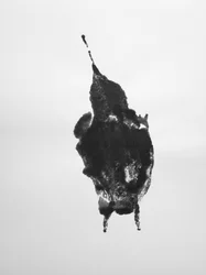 Untitled, 2009