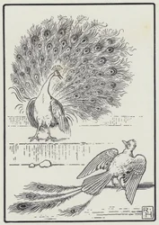 The Jay And The Peacock