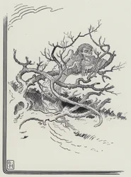 The Man And Death