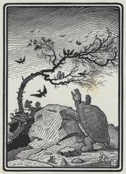 The Tortoise And The Birds