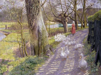 The Path by the Mill Pond