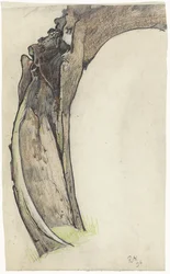 Hollow Willow