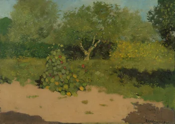 Corner of a Garden with Nasturtiums