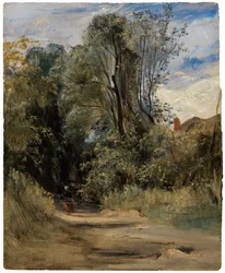A Woodland Path