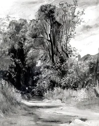 Lane Through a Wood