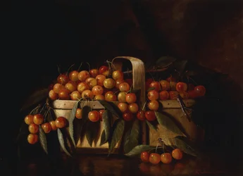 A Basket of Cherries