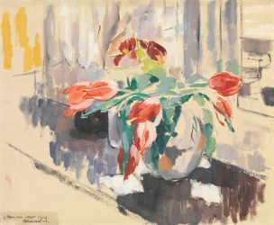Tulips