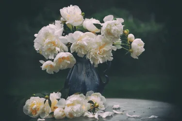 White Peonies Still Life