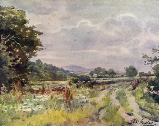 Country Lane