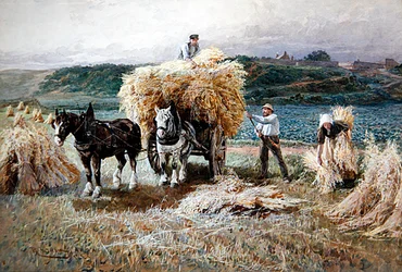 Haymaking