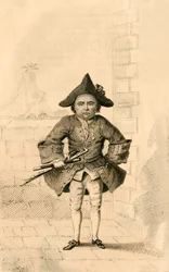 Chevalier Desseasau, Remarkable for his Vanity