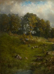 A Hillside Pasture