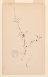 Bough