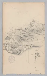 Tiger Skin Rug
