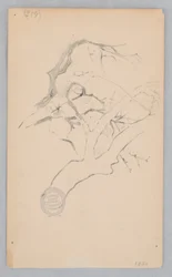 Tree Branch