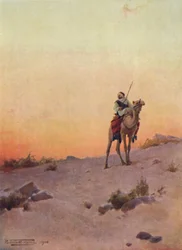 A Desert Scout