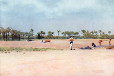 Esbet-el-Ekiad – Land of Goshen