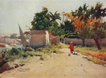 On the Island of Rhoda