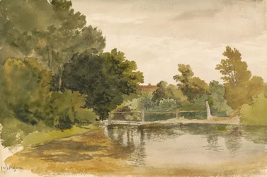 Reflections in a Wooded Pool