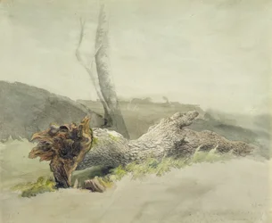 The Fallen Tree, c.1804