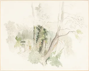 Trees at Beddington