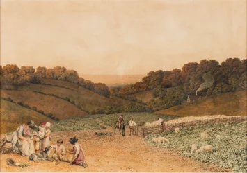 Turnip Field