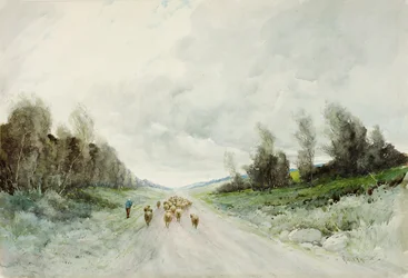 A Northumberland Road
