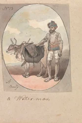 A Waterman with his Ox or Bullock